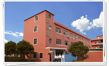 多米機(jī)械:改變世界新動(dòng)力，革新行業(yè)新格局